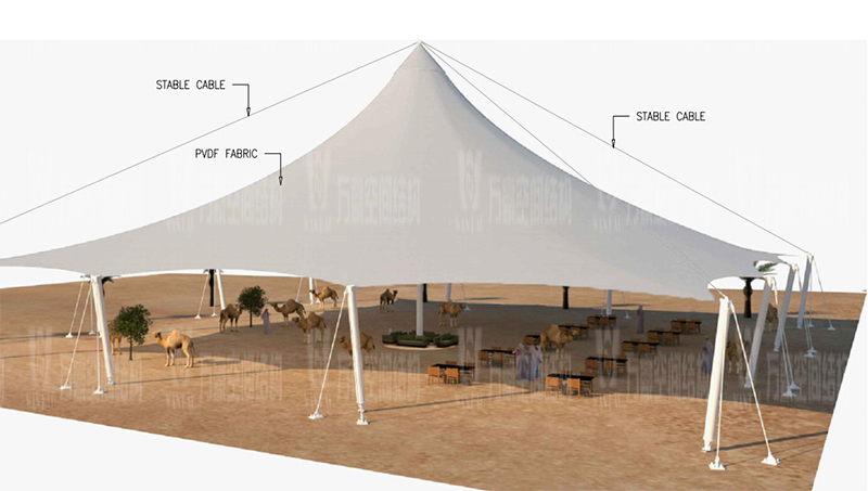 卡塔爾駱駝市場膜結構項目竣工