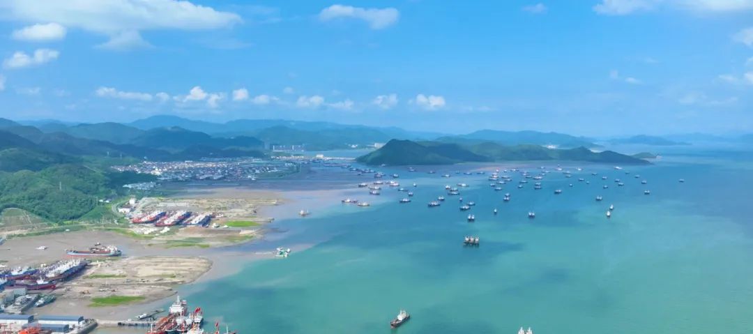 奉化區桐照漁港品質提升項目開始施工