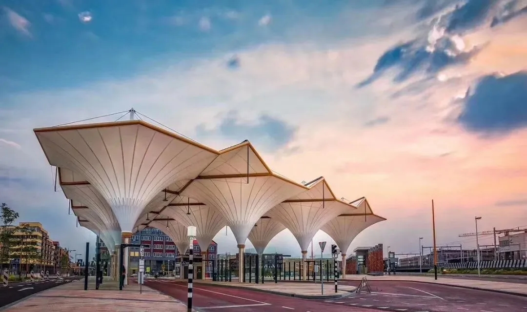 “棚”和“篷”，怎么區(qū)分？