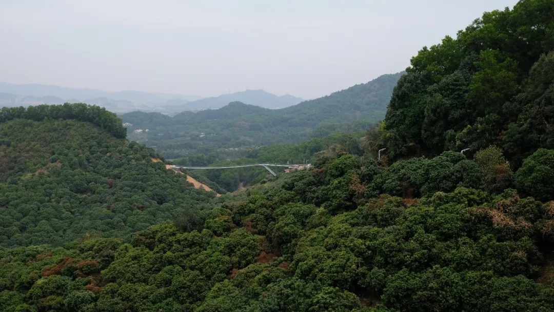 中國第一座【懸帶橋】