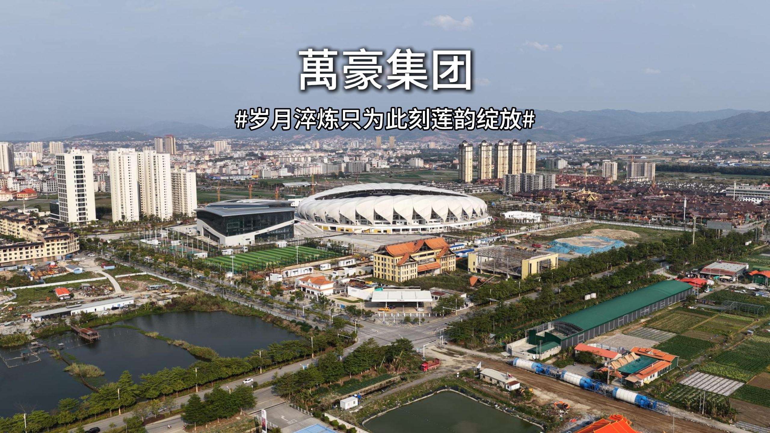 歲月淬煉只為此刻蓮韻綻放